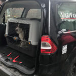 img_variabel_hundebereich