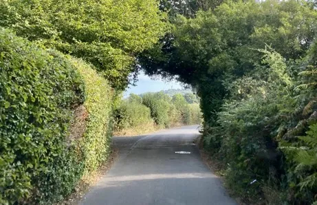 Camping-mit-Hund-Irlund